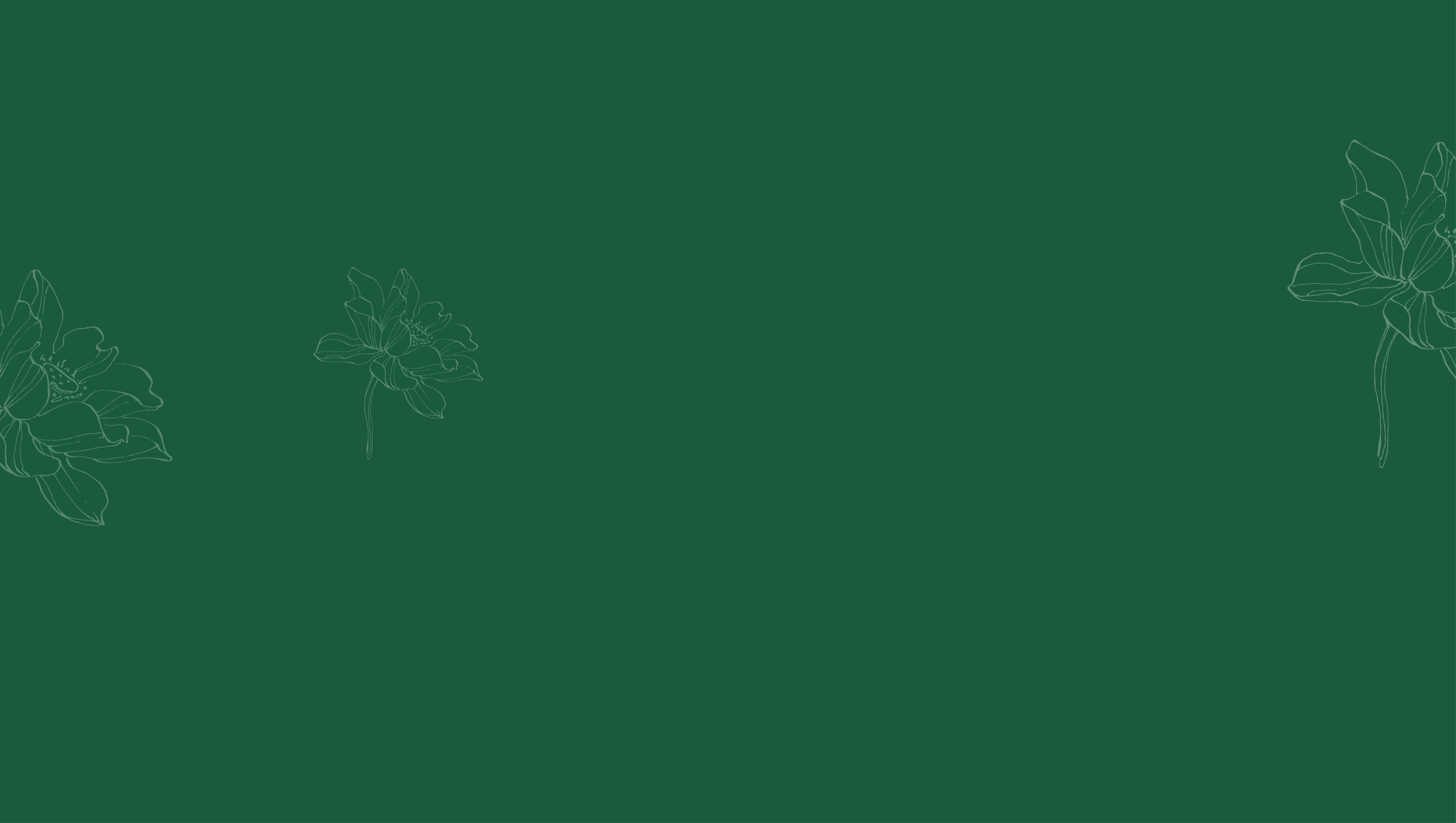 Hero banner 47 scaled