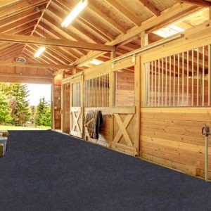 Meitola Horse_Stable Mats - Duty Stall Mats - for Floor Surface_Absorbent mat Lightweight Washable Floor Mat，Back Non-Slip，Keeps Stable Floors Clean and Dry Over time (6' x 8')